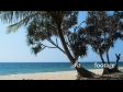 Deserted Beach in Phang Nga 3376
